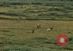 Standbild Yellowstone National Park Blick 1960 Wyoming United States USA, 1960, aus Sekunde 60 historischem Filmmaterial Videoclip 65675068838