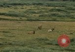 Standbild Yellowstone National Park Blick 1960 Wyoming United States USA, 1960, aus Sekunde 61 historischem Filmmaterial Videoclip 65675068838
