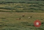 Standbild Yellowstone National Park Blick 1960 Wyoming United States USA, 1960, aus Sekunde 62 historischem Filmmaterial Videoclip 65675068838
