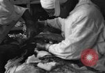 Standbild Operation Shingle Italien, 1944, aus Sekunde 11 historischem Filmmaterial Videoclip 65675068842