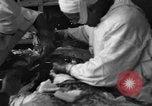 Standbild Operation Shingle Italien, 1944, aus Sekunde 12 historischem Filmmaterial Videoclip 65675068842