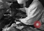 Standbild Operation Shingle Italien, 1944, aus Sekunde 13 historischem Filmmaterial Videoclip 65675068842