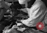 Standbild Operation Shingle Italien, 1944, aus Sekunde 14 historischem Filmmaterial Videoclip 65675068842