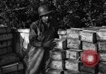 Standbild Operation Shingle Italien, 1944, aus Sekunde 10 historischem Filmmaterial Videoclip 65675068844