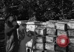 Standbild Operation Shingle Italien, 1944, aus Sekunde 11 historischem Filmmaterial Videoclip 65675068844