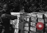 Standbild Operation Shingle Italien, 1944, aus Sekunde 12 historischem Filmmaterial Videoclip 65675068844