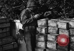Standbild Operation Shingle Italien, 1944, aus Sekunde 13 historischem Filmmaterial Videoclip 65675068844
