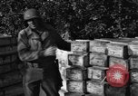 Standbild Operation Shingle Italien, 1944, aus Sekunde 14 historischem Filmmaterial Videoclip 65675068844