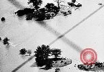 Immagine di Tornado e flood United States USA, 1930, secondo 36 filmato di repertorio 65675068850