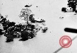 Immagine di Tornado e flood United States USA, 1930, secondo 41 filmato di repertorio 65675068850