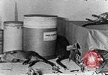 Image of ships fumigated Baltimore Maryland USA, 1927, second 43 stock footage video 65675068855