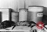 Image of ships fumigated Baltimore Maryland USA, 1927, second 49 stock footage video 65675068855