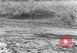 Image of Panama Canal Panama, 1912, second 37 stock footage video 65675068857