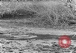 Image of Panama Canal Panama, 1912, second 39 stock footage video 65675068857
