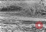 Image of Panama Canal Panama, 1912, second 40 stock footage video 65675068857