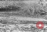 Image of Panama Canal Panama, 1912, second 41 stock footage video 65675068857