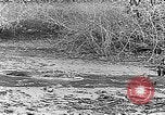 Image of Panama Canal Panama, 1912, second 42 stock footage video 65675068857