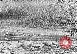Image of Panama Canal Panama, 1912, second 43 stock footage video 65675068857