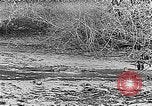 Image of Panama Canal Panama, 1912, second 44 stock footage video 65675068857