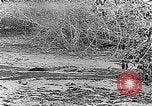 Image of Panama Canal Panama, 1912, second 47 stock footage video 65675068857