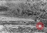 Image of Panama Canal Panama, 1912, second 48 stock footage video 65675068857