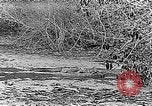 Image of Panama Canal Panama, 1912, second 49 stock footage video 65675068857