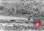 Image of Panama Canal Panama, 1912, second 50 stock footage video 65675068857