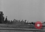 Image of Spitfire Mk IX France, 1944, second 62 stock footage video 65675068872