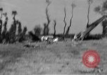 Image of U.S. aircraft destroyed on D-day, 1944 France, 1944, second 29 stock footage video 65675068873
