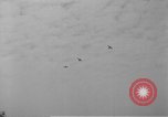Standbild P-47 Thunderbolt Frankreich, 1944, aus Sekunde 36 historischem Filmmaterial Videoclip 65675068874