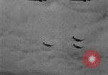 Standbild Operation Market Garden der alliierten Invasion Nijmegen Niederlande, 1944, aus Sekunde 16 historischem Filmmaterial Videoclip 65675068875