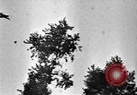 Standbild Operation Market Garden der alliierten Invasion Nijmegen Niederlande, 1944, aus Sekunde 62 historischem Filmmaterial Videoclip 65675068875