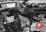 Standbild Schäden durch alliierte Bombenangriffe Frankreich, 1944, aus Sekunde 56 historischem Filmmaterial Videoclip 65675068876