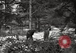 Standbild deutschen Gefangenen Munising Michigan USA, 1944, aus Sekunde 48 historischem Filmmaterial Videoclip 65675068889