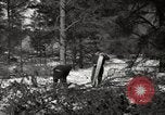 Standbild deutschen Gefangenen Munising Michigan USA, 1944, aus Sekunde 51 historischem Filmmaterial Videoclip 65675068889