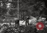 Standbild deutschen Gefangenen Munising Michigan USA, 1944, aus Sekunde 52 historischem Filmmaterial Videoclip 65675068889