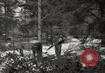 Standbild deutschen Gefangenen Munising Michigan USA, 1944, aus Sekunde 53 historischem Filmmaterial Videoclip 65675068889