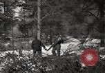 Standbild deutschen Gefangenen Munising Michigan USA, 1944, aus Sekunde 54 historischem Filmmaterial Videoclip 65675068889