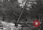 Standbild deutschen Gefangenen Munising Michigan USA, 1944, aus Sekunde 60 historischem Filmmaterial Videoclip 65675068889