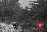 Standbild deutschen Gefangenen Munising Michigan USA, 1944, aus Sekunde 61 historischem Filmmaterial Videoclip 65675068889