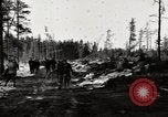 Standbild deutschen Gefangenen Munising Michigan USA, 1944, aus Sekunde 17 historischem Filmmaterial Videoclip 65675068891