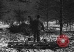 Image Des prisonniers allemands Munising Michigan USA, 1944, de la seconde 9 séquences d'archives historiques vidéo 65675068893