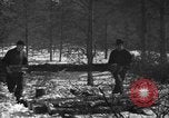 Image Des prisonniers allemands Munising Michigan USA, 1944, de la seconde 10 séquences d'archives historiques vidéo 65675068893