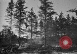 Image Des prisonniers allemands Munising Michigan USA, 1944, de la seconde 21 séquences d'archives historiques vidéo 65675068893