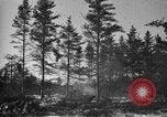 Image Des prisonniers allemands Munising Michigan USA, 1944, de la seconde 22 séquences d'archives historiques vidéo 65675068893