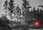 Image Des prisonniers allemands Munising Michigan USA, 1944, de la seconde 24 séquences d'archives historiques vidéo 65675068893