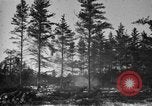 Image Des prisonniers allemands Munising Michigan USA, 1944, de la seconde 25 séquences d'archives historiques vidéo 65675068893