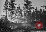 Image Des prisonniers allemands Munising Michigan USA, 1944, de la seconde 26 séquences d'archives historiques vidéo 65675068893