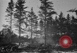 Image Des prisonniers allemands Munising Michigan USA, 1944, de la seconde 27 séquences d'archives historiques vidéo 65675068893