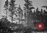 Image Des prisonniers allemands Munising Michigan USA, 1944, de la seconde 28 séquences d'archives historiques vidéo 65675068893